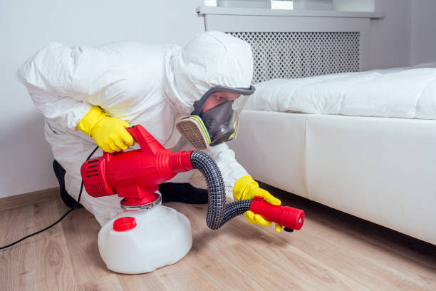 Best Termite Control Services  in Knightstown, IN