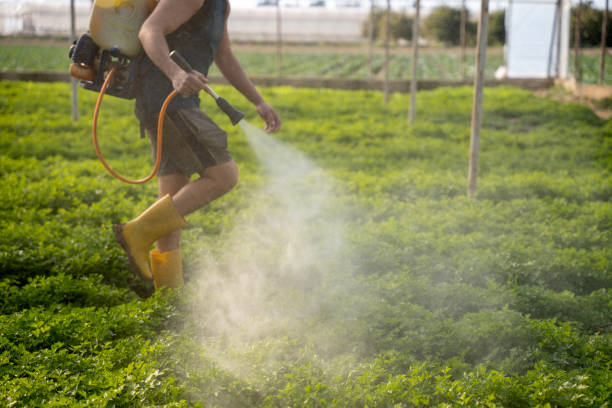 Best Pest Inspection Near Me  in Knightstown, IN