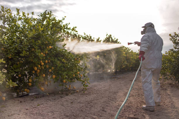 Best Commercial Pest Control Services  in Knightstown, IN