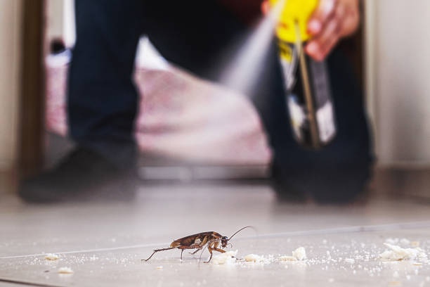 Best Flea Control Services  in Knightstown, IN
